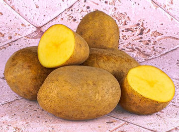 Bio RungisLpd - Org Ratte Potatoes/Bio Rungis - 1 Kg