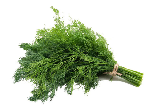Bio RungisLpd - Org Fresh Dill/Bio Rungis - 1 Pc