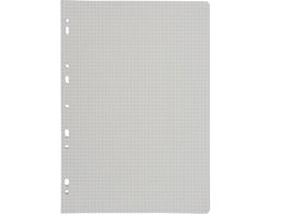 Calligraphe 50 Simple A4 Punched Sheets  - 1 PC