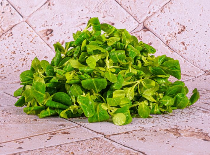 Les Jardins Du Petit Depot Lambs Salad  - 125 G