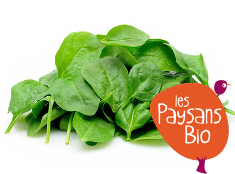 Les Paysans BioLpd - Org Baby Lettuce/Les Paysans Bio  - 1  Pc