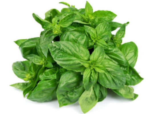 Les Jardins Du Petit Depot Basil  -  25 G