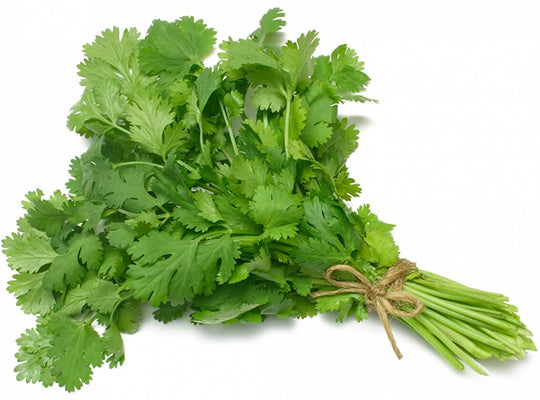 Les Jardins Du Petit Depot Coriander  -  50 G