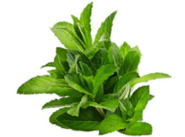 Les Jardins Du Petit DepotLpd - Peppermint/Les Jardins Du Petit Depot - 25 g