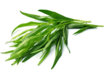 Les Jardins Du Petit DepotLpd - Tarragon/Les Jardins Du Petit Depot - 25 g