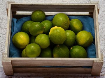 Les Jardins Du Petit DepotLpd - Seedless Lime/Les Jardins Du Petit Depot - 6 Pc