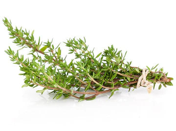 Les Jardins Du Petit DepotLpd - Thyme/Les Jardins Du Petit Depot - 25 g