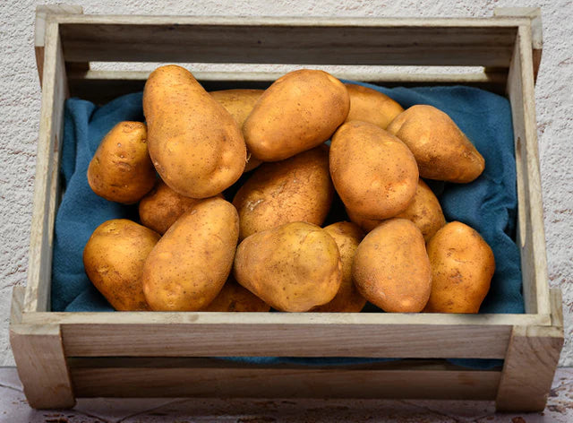 Les Jardins Du Petit DepotLpd - Potato Ratte/Les Jardins Du Petit Depot - 1 kg