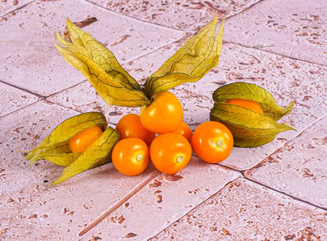 Les Jardins Du Petit DepotLpd - Physalis/Les Jardins Du Petit Depot - 100 g
