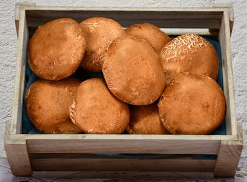 Les Jardins Du Petit DepotLpd - Portobello Mushroom/Les Jardins Du Petit Depot - 250 g