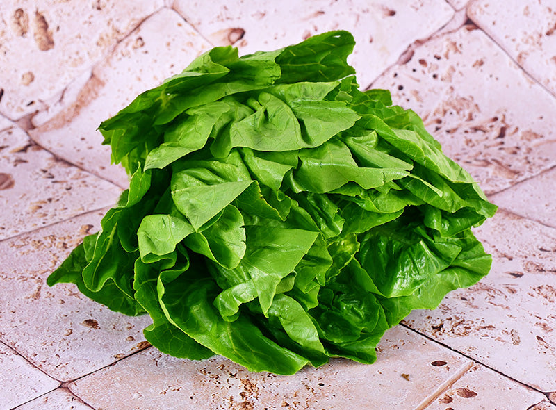 Les Jardins Du Petit Depot Romaine Lettuce  - 300 G