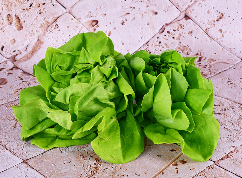Les Jardins Du Petit Depot Butterhead Lettuce  - 250 G