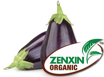 ZenxinLpd - Org Eggplant/Zenxin  - 1  Pc