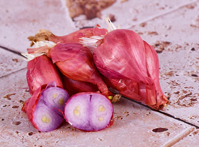 ZenxinLpd - Org Shallots/Zenxin  - 1  Pc