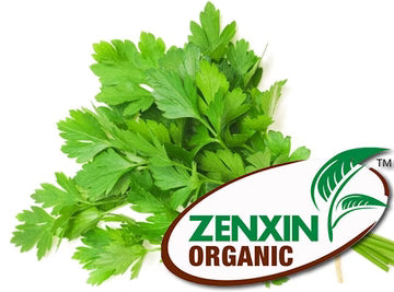 ZenxinLpd - Org Eng Parsley/Zenxin  - 1  Pc