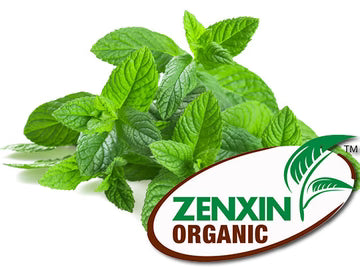ZenxinLpd - Org Peppermint/Zenxin  - 1  Pc