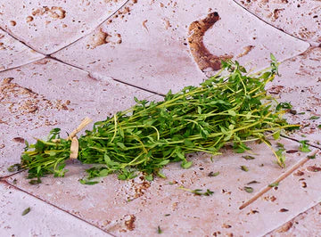 ZenxinLpd - Org Thyme/Zenxin  - 1  Pc