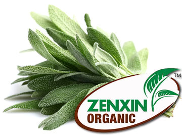 ZenxinLpd - Org Sage/Zenxin  - 1  Pc