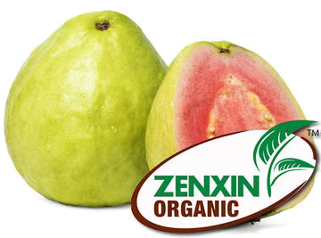 ZenxinLpd - Org Guava/Zenxin  - 1  Pc