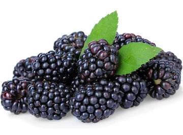 ZenxinLpd - Org Blackberry/Zenxin  - 1  Pc