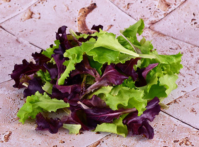 ZenxinLpd - Org Mixed Salad/Zenxin  - 1  Pc