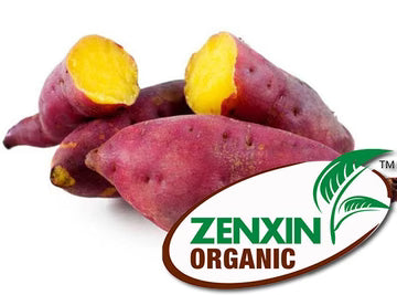 ZenxinLpd - Org Jpn Sweet Pot/Zenxin  - 1  Pc