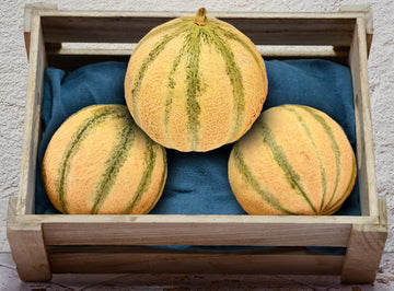 Bio RungisLpd - Org Cantaloupe/Bio Rungis - 1 Kg