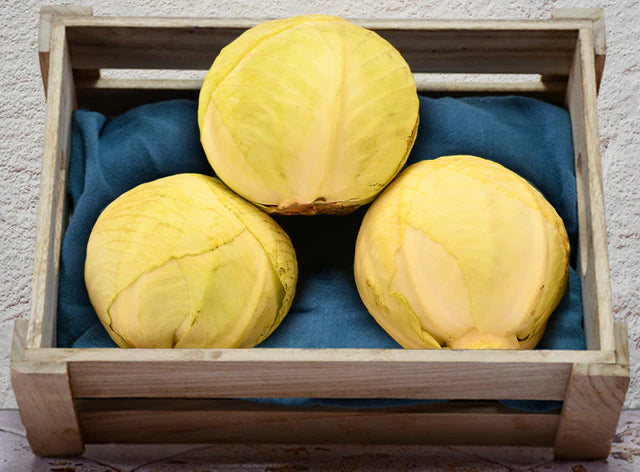 Les Paysans BioLpd - Org Green Cabbage/Les Paysans Bio  - 1  Pc