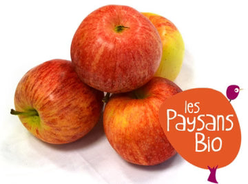 Les Paysans BioLpd - Org Gala Apple/Les Paysans Bio  - 1  Pc