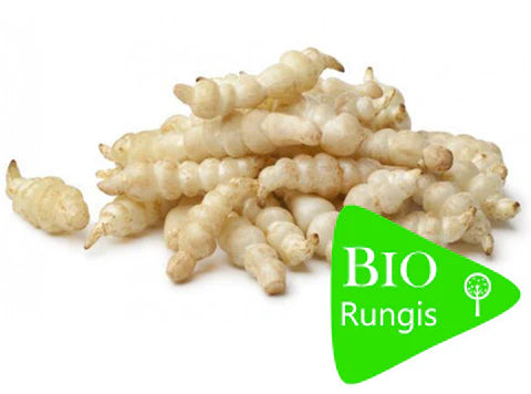 Les Paysans BioLpd - Org Chinese Artichoke/Les Paysans Bio  - 1  Pc