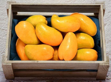 Bio RungisLpd - Org Kent Mango/Bio Rungis - 1 Pc