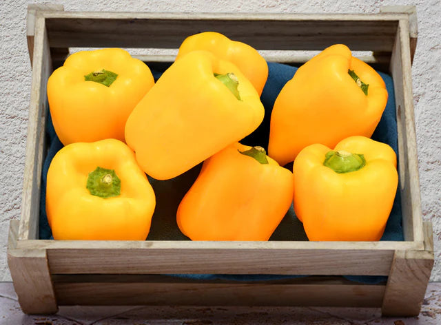 Bio RungisLpd - Org Yellow Capsicum/Bio Rungis - 0.5 Kg