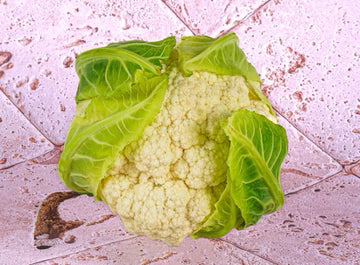 Les Paysans BioLpd - Org Cauliflower/Les Paysans Bio  - 1  Pc