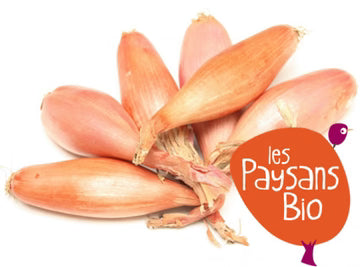 Les Paysans BioLpd - Org Shallot/Les Paysans Bio  - 1  Pc