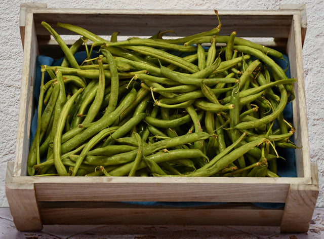 Bio RungisLpd - Org Green Beans/Bio Rungis - 250 g