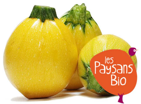 Les Paysans BioLpd - Org Yellow Round Zuc/Les Paysans Bio  - 1  Pc