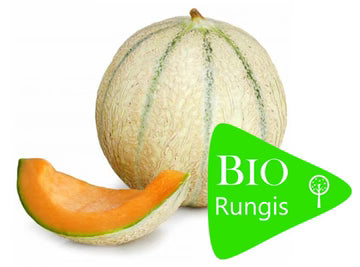 Bio RungisLpd - Org Yellow Rock Melon/Bio Rungis - 1 Kg
