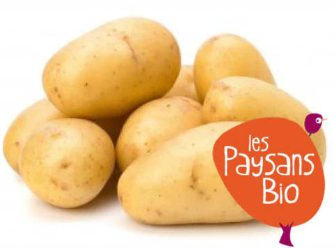 Les Paysans BioLpd - Org Small Pot Primlady/Les Paysans Bio  - 1  Pc