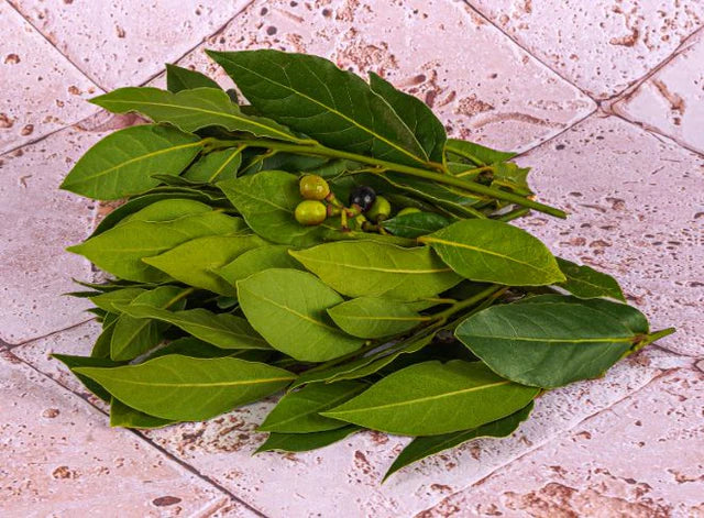 Bio RungisLpd - Org Laurel/Bio Rungis - 1 Pc
