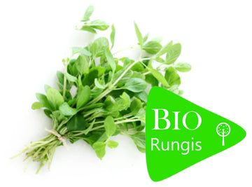 Bio RungisLpd - Org Marjoram/Bio Rungis - 1 Pc