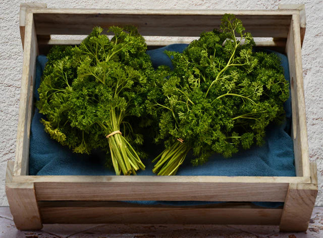 Bio RungisLpd - Org Curly Parsley/Bio Rungis - 1 Pc