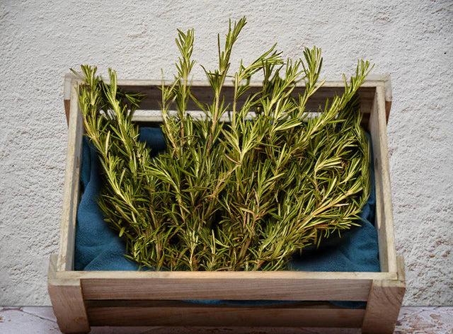 Bio RungisLpd - Org Rosemary/Bio Rungis - 1 Pc
