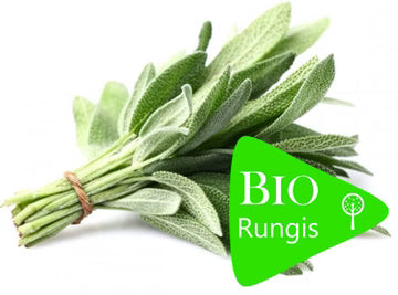 Bio RungisLpd - Org Sage/Bio Rungis - 1 Pc