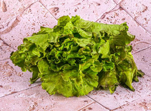Bio RungisLpd - Org Red Batavian Lettuce/Bio Rungis - 1 Pc
