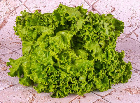Bio RungisLpd - Org Green Batavian Lettuce/Bio Rungis - 1 Pc