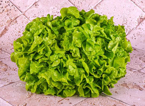 Bio RungisLpd - Org Green Oak Leaf Lettuce/Bio Rungis - 1 Pc