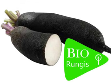 Bio RungisLpd - Org Black Radish/Bio Rungis - 0.5 Kg