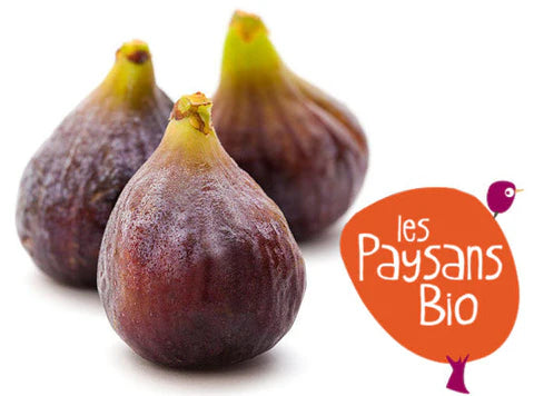 Les Paysans BioLpd - Org Violette Dauphine Figs/Les Paysans Bio  - 1  Pc