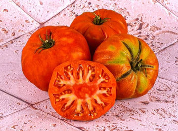 Bio RungisLpd - Org Marmande Tomatoes/Bio Rungis - 1 Kg