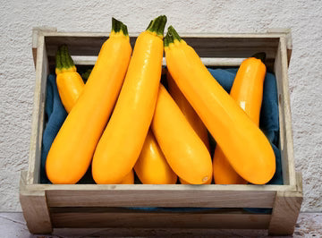 Bio RungisLpd - Org Yellow Zucchini/Bio Rungis - 1 Kg